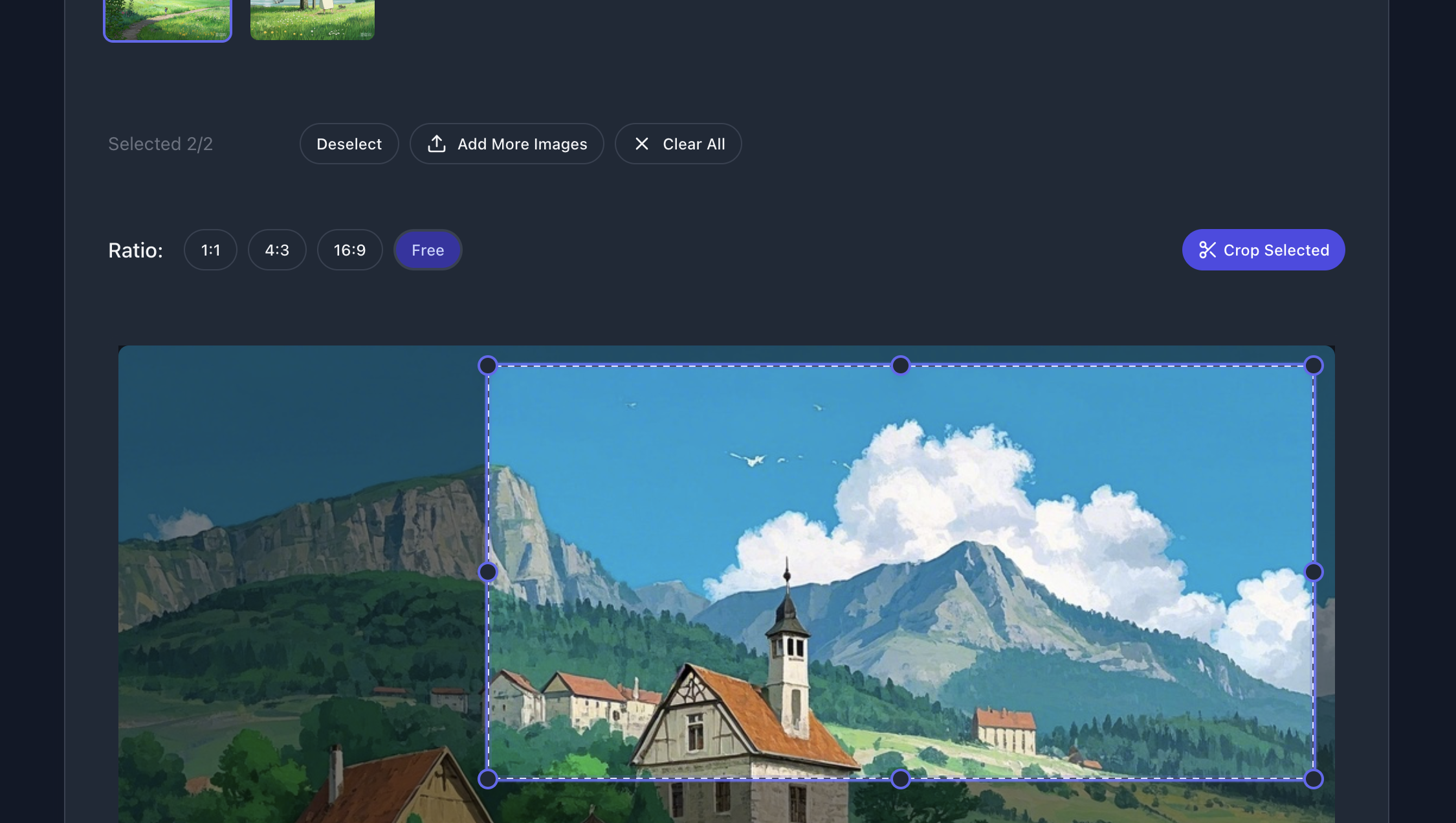 Crop adjustment interface
